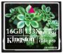 Флеш карта Kingston Compact Flash 16Gb Elite Pro, 133x (CF/16GB-S2)
